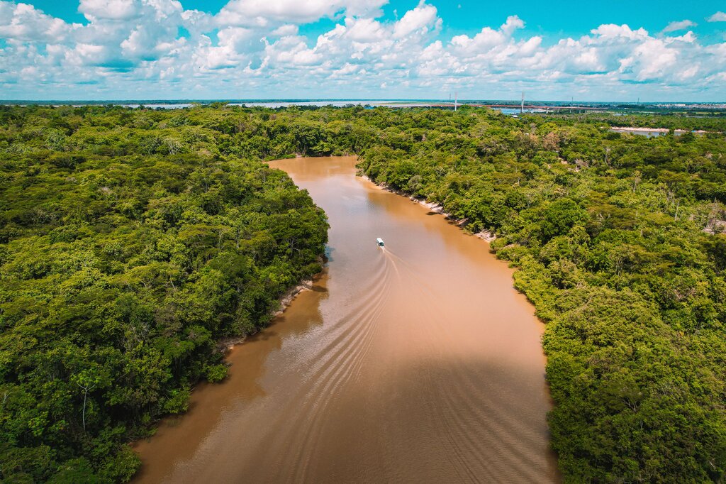 Que el rio Atrato y su cuenca son sujetos de derechos
