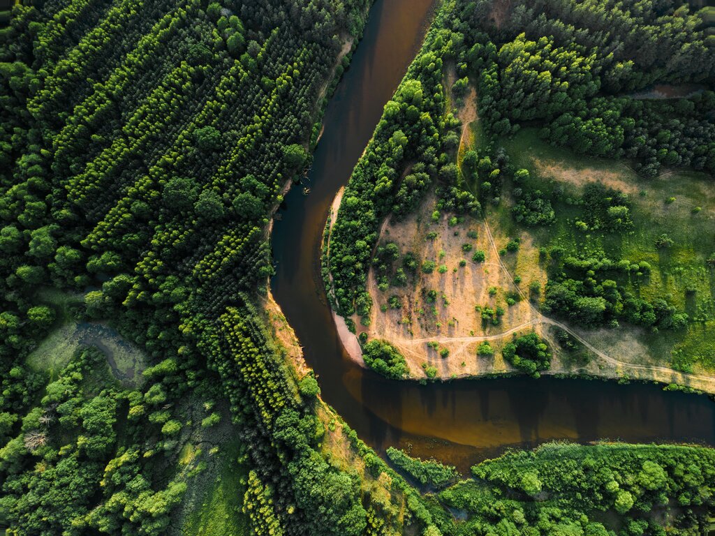 ¿Qué estrategia es fundamental para defender los derechos de la naturaleza en un territorio?