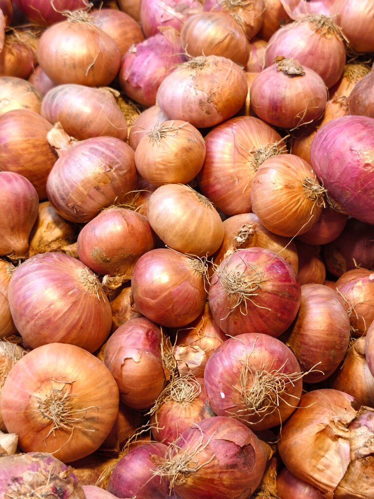 How many onions are there on the floor?
