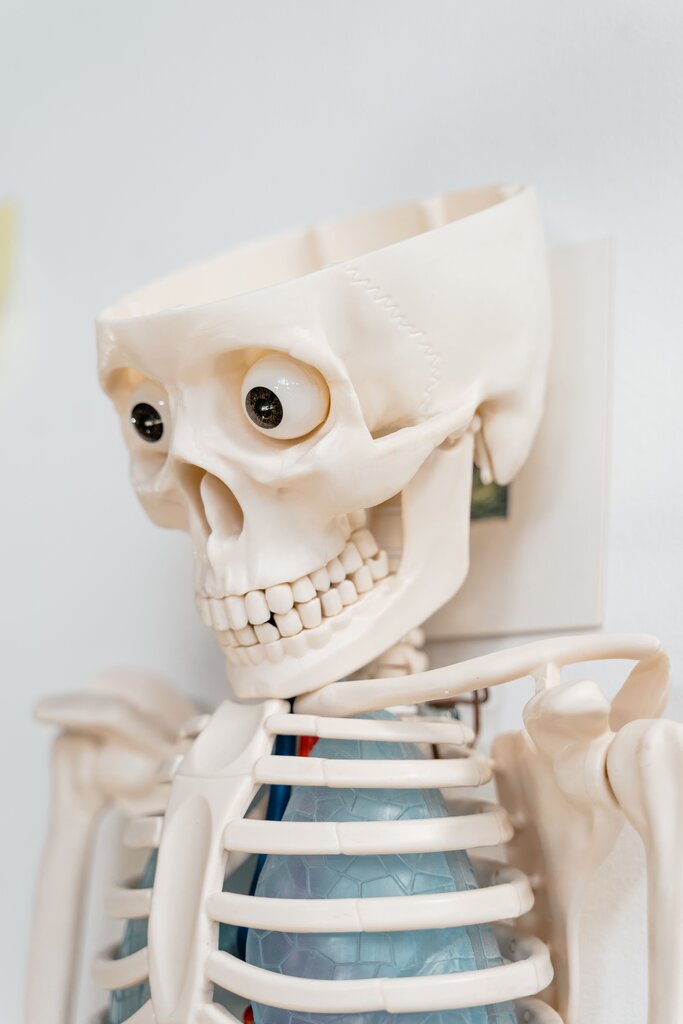 ¿Que es la anatomía?