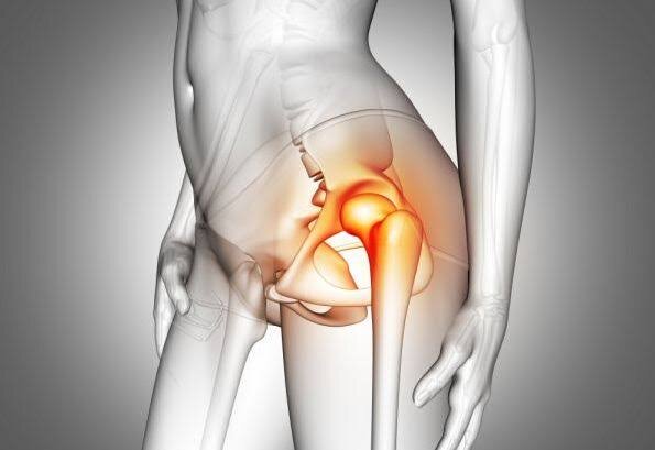What are the rounded structures at the distal end of the femur called?