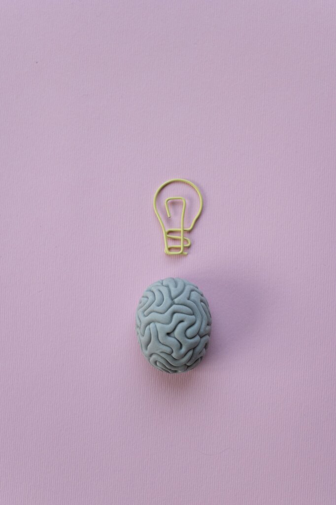 The part of your body that thinks is your: