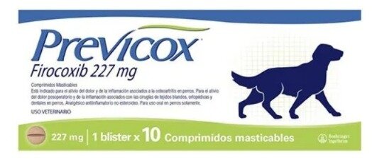 ¿Por qué podría considerarse el uso de un inhibidor selectivo de COX-2, como el firocoxib, dentro del manejo complementario de un melanoma oral?
