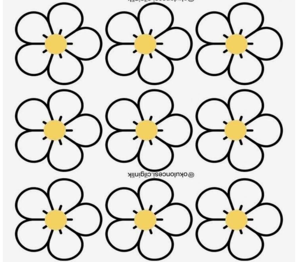 How many flowers are there?