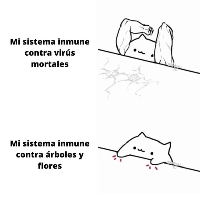 Los linfocitos T cumplen exactamente la misma función que los linfocitos B