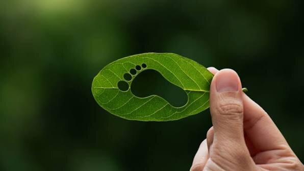 ¿CÓMO COMPENSAS TU HUELLA DE CARBONO?