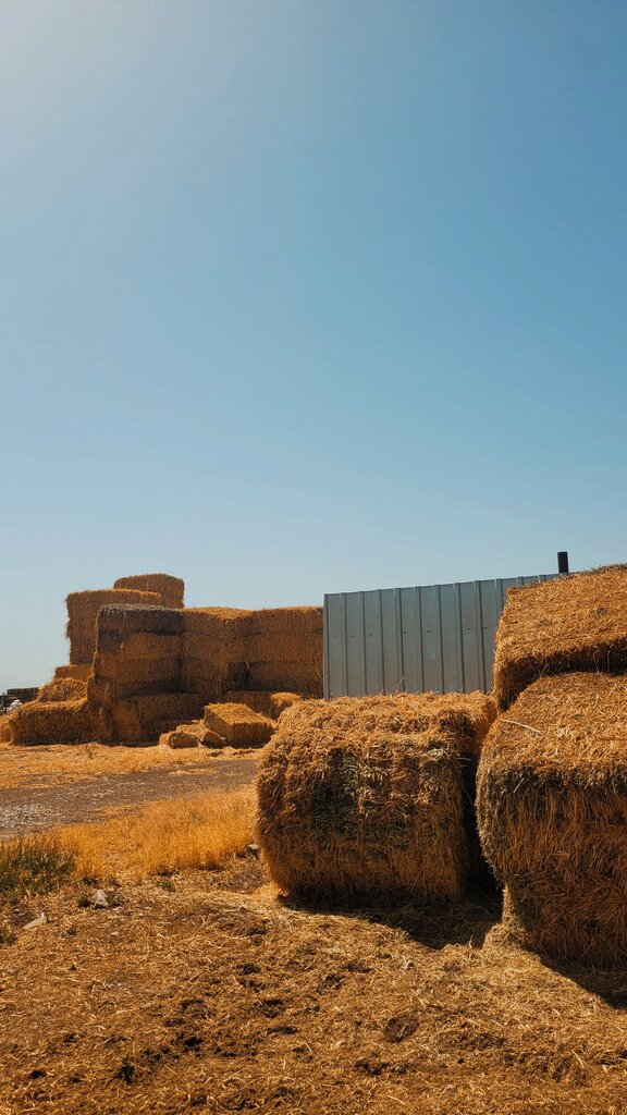 It's hay. 