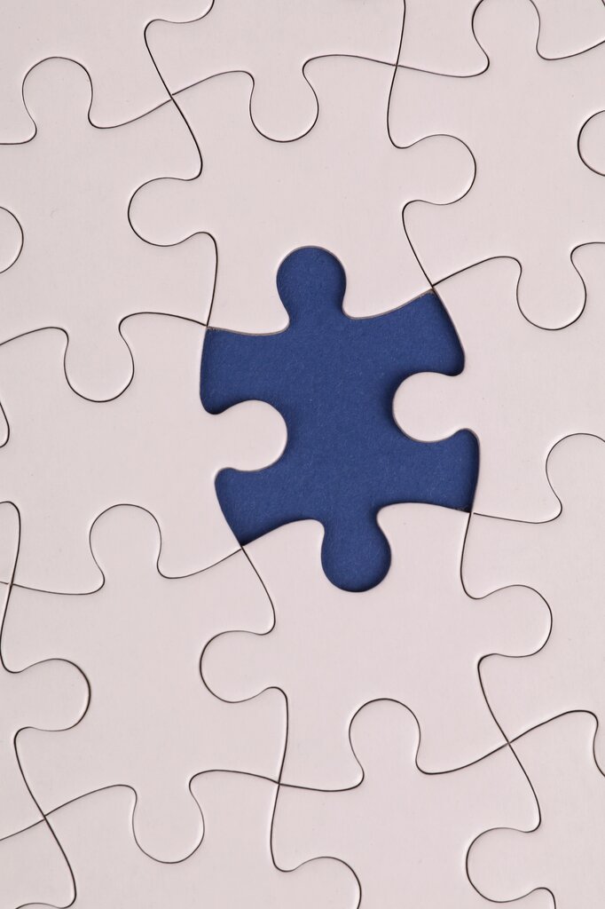 ¿Qu é elemento NO forma parte de los principios que promueve el modelo cr ítico y sociopol ítico?