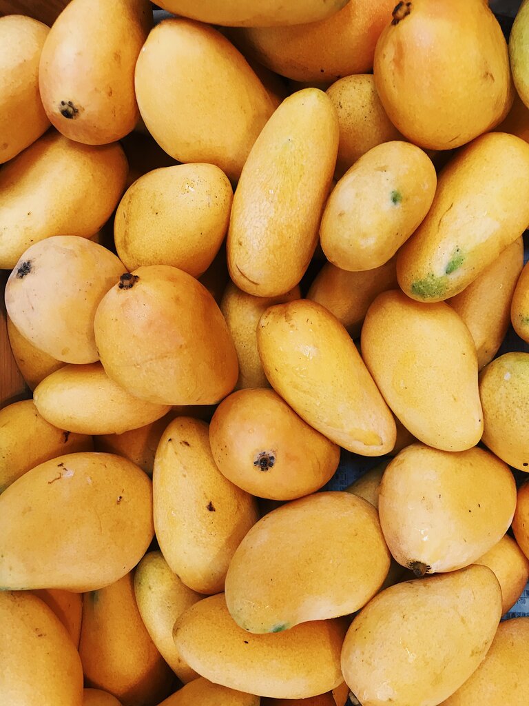 Mangga