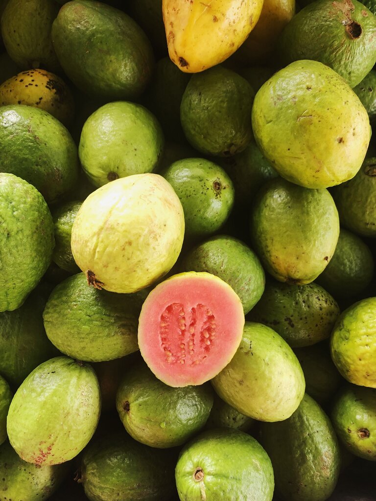 jambu batu
