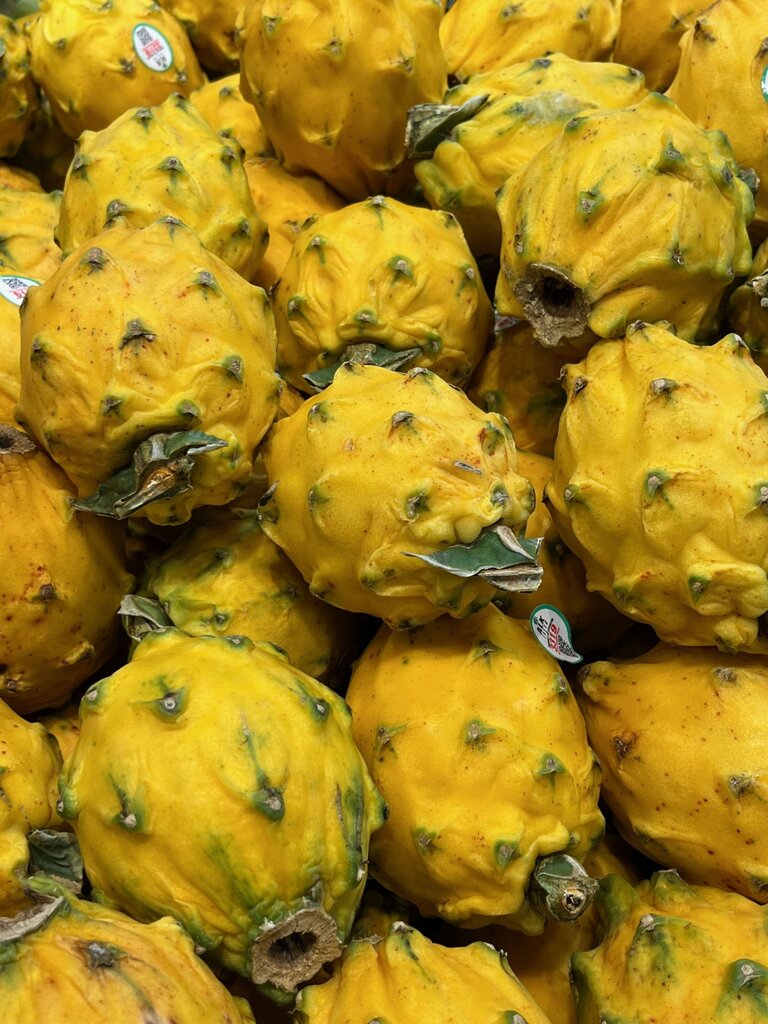 buah naga