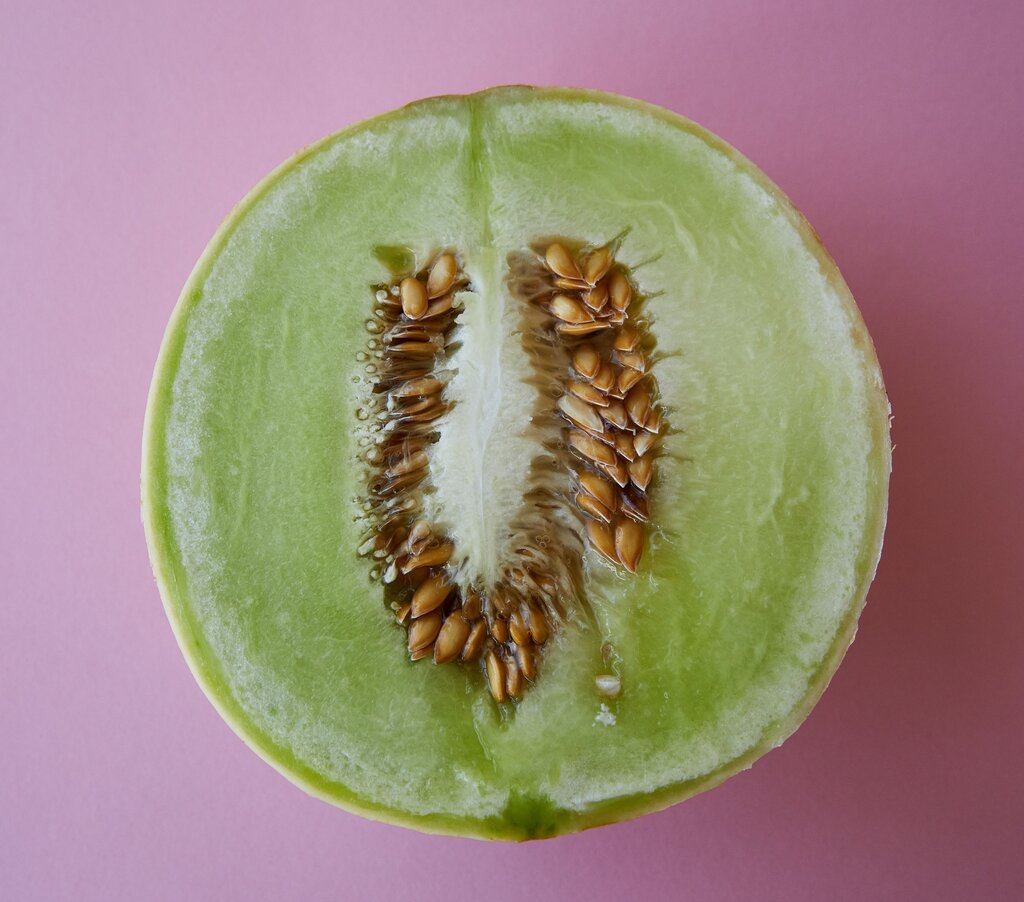 honeydew