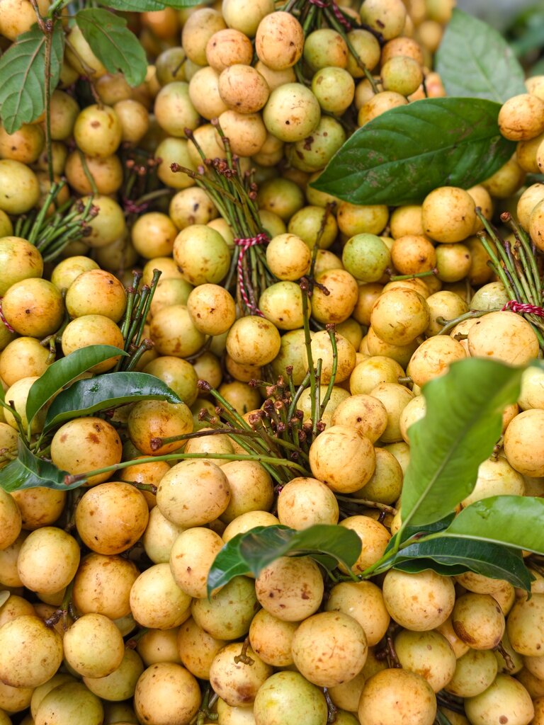 duku