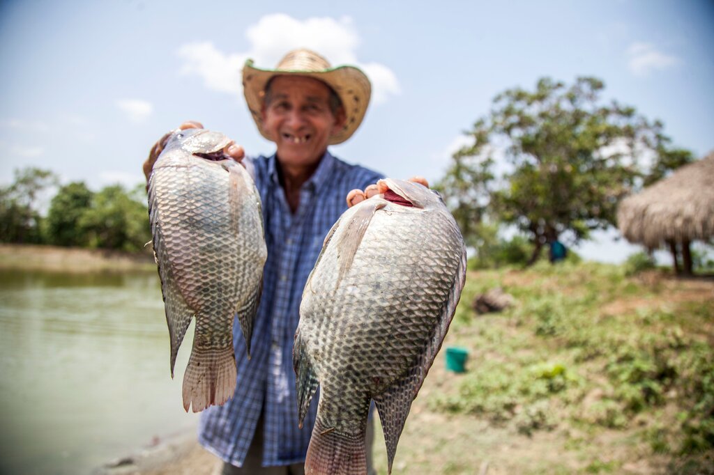 Dos pescadores pesaron su pesca: Don José 3.125 gramos y Don Luis 3.215 gramos. ¿Quién pescó más? 