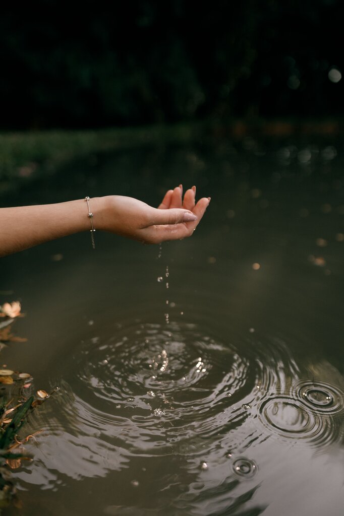 La armonia con la naturaleza