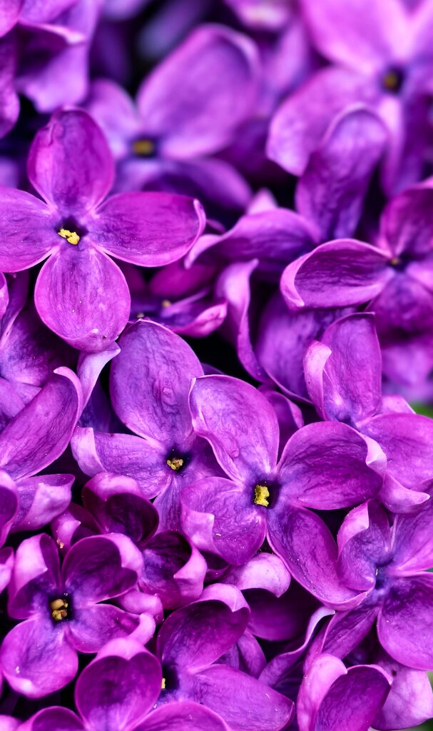 Quelle est cette couleur ?