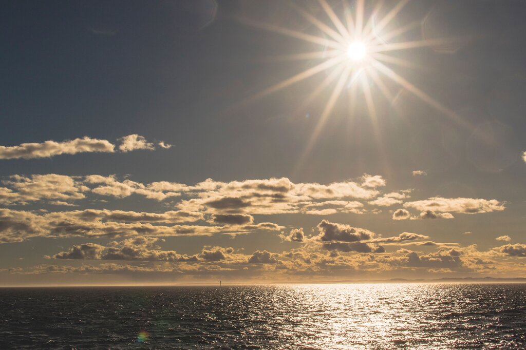 What is the weather in the image? 