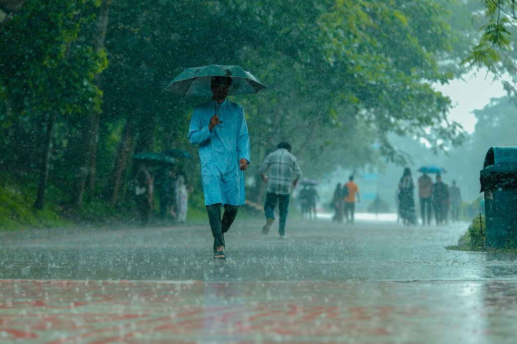 What is the weather in the image? 