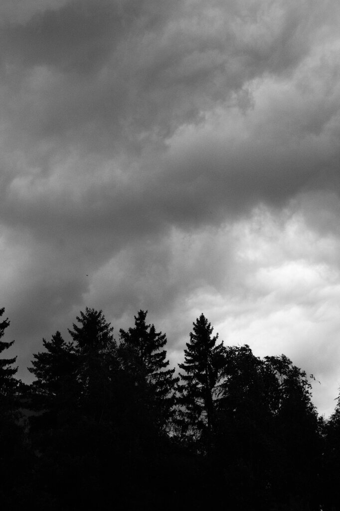 What is the weather in the image? 