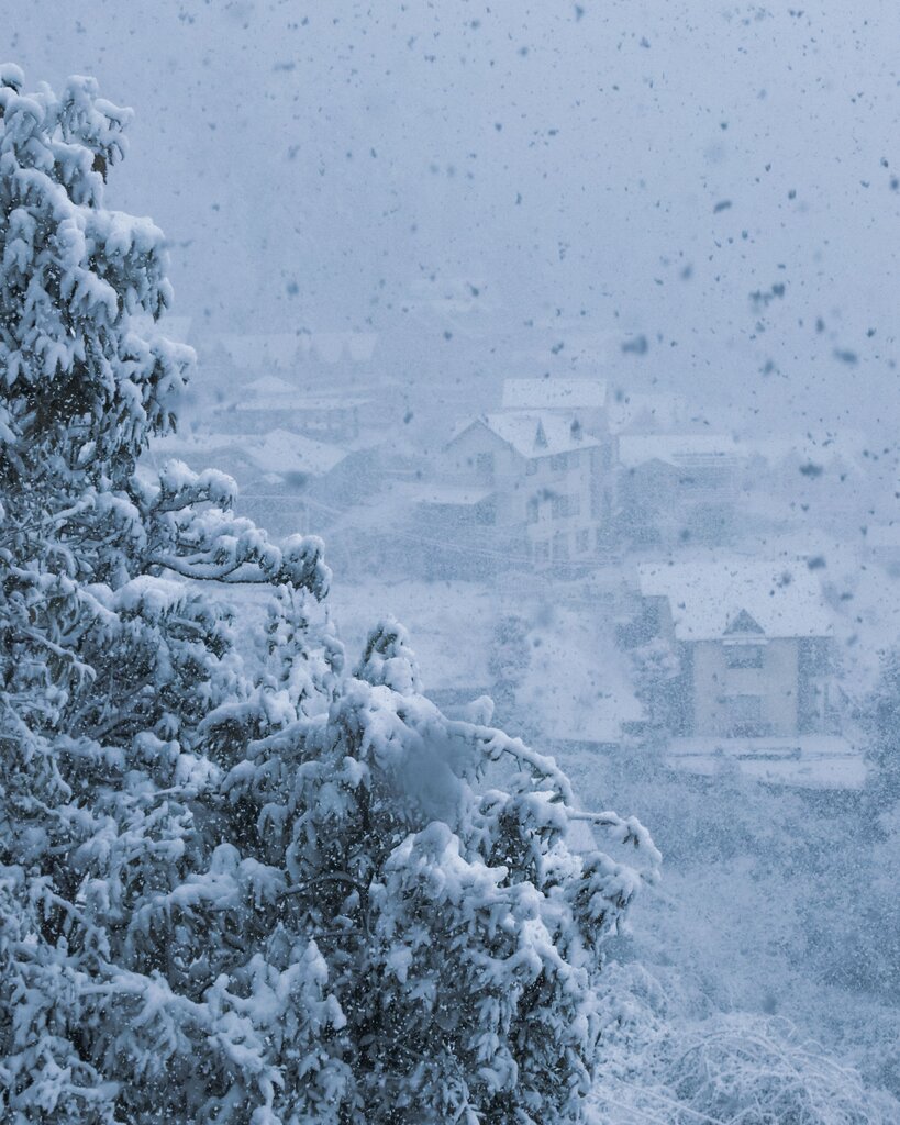 What is the weather in the image? 