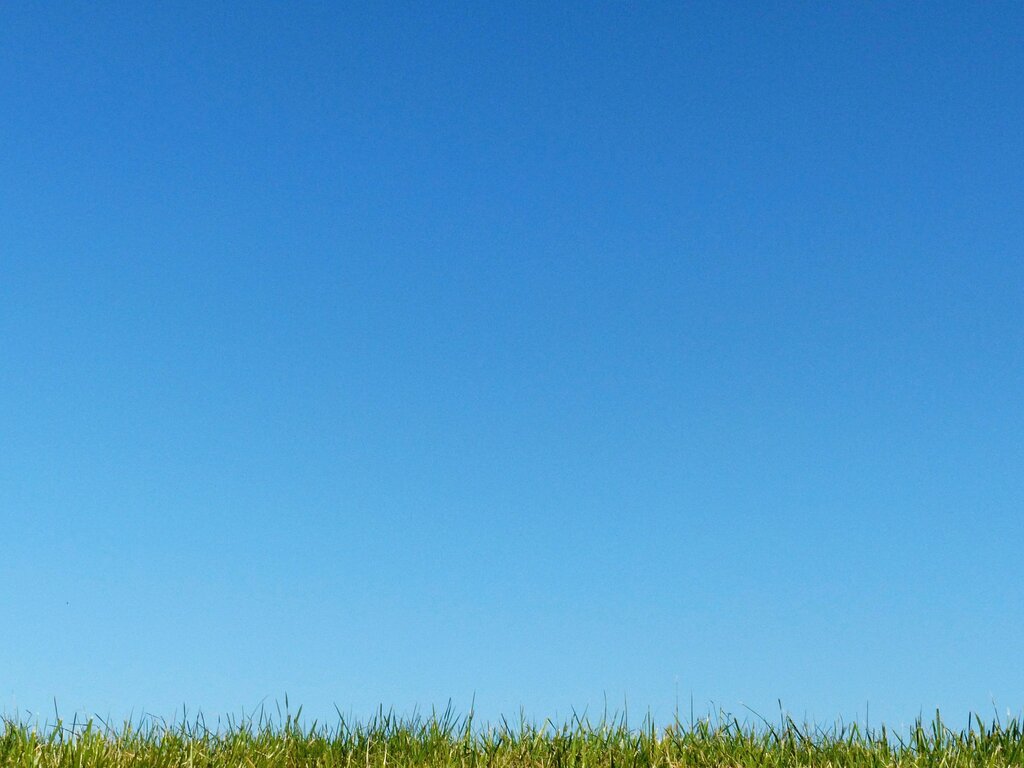 The sky is clear with no clouds. What is the weather?