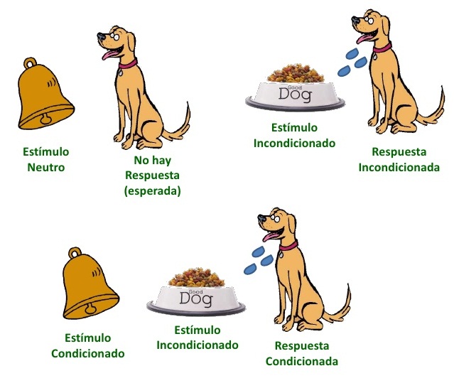 print-crossword-puzzle-psicolog-a-de-la-educacion-psicologia