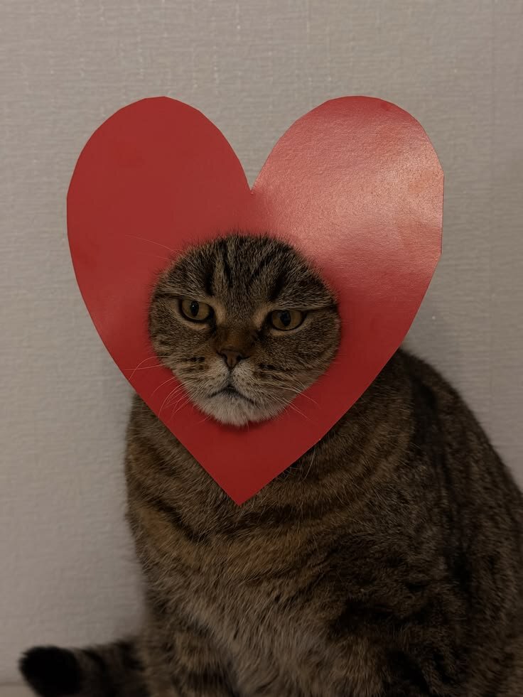 __ti