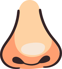 __dung