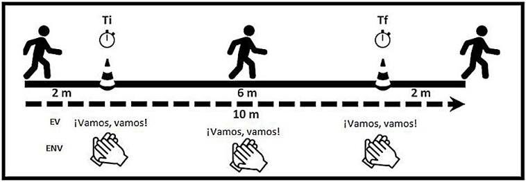 ¿Cuál es el término para “velocidad”?
