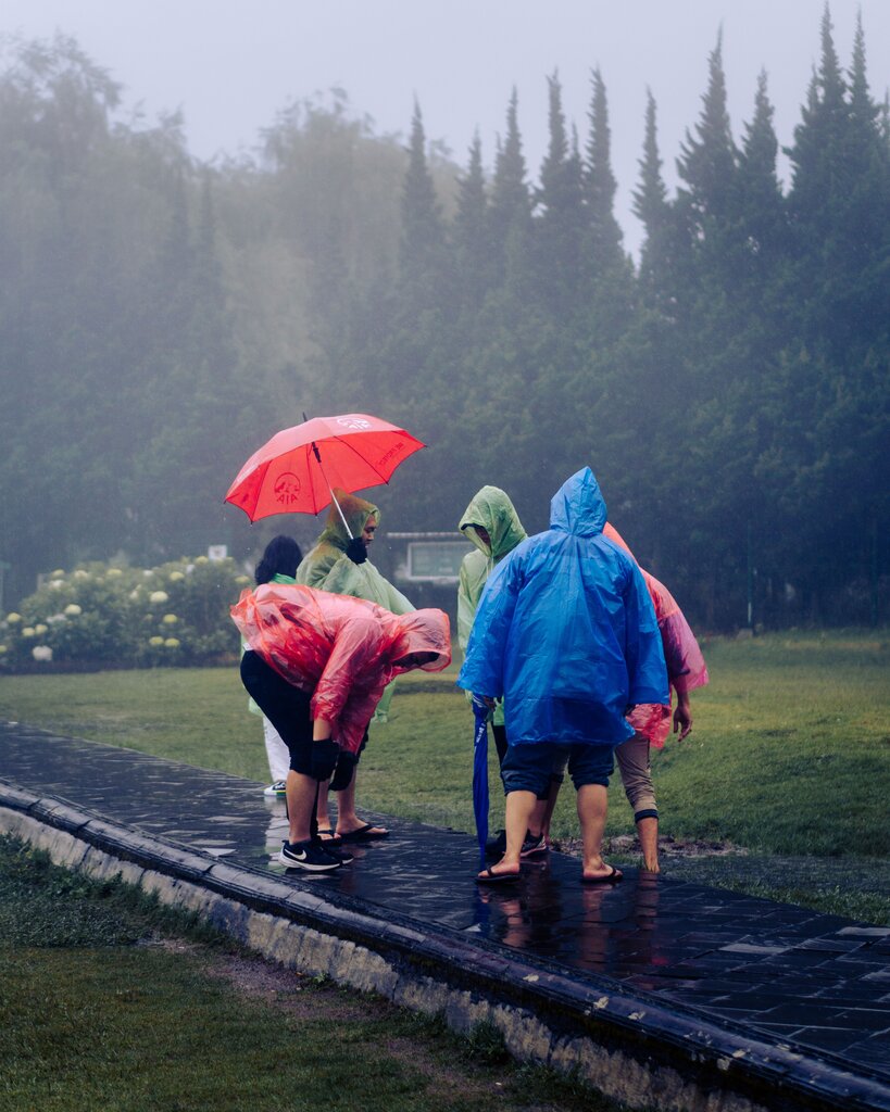 Choose the correct form: If it rains, we _____ cancel the picnic.
