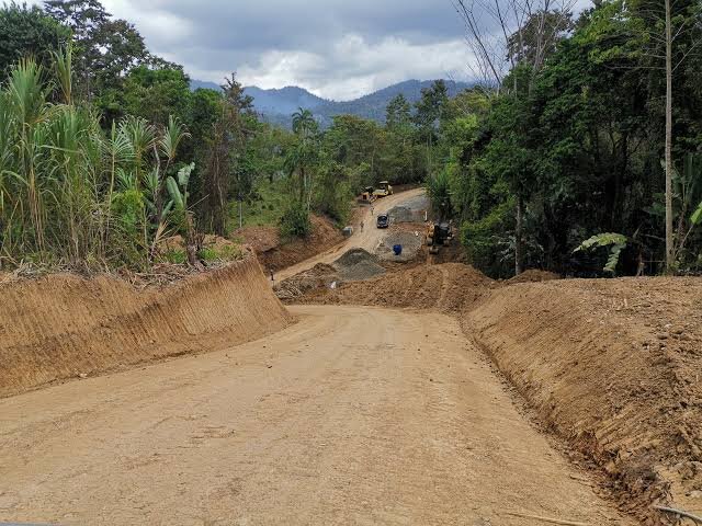 Construcción de una carretera: ¿natural o humano?