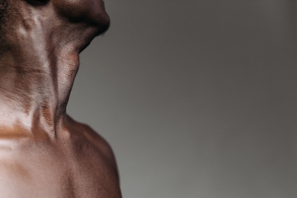 The larynx