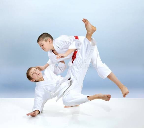 are they doing judo?