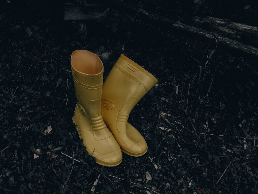 Bota 