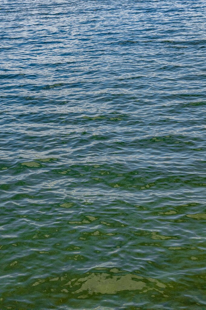 Where does water puppet move?