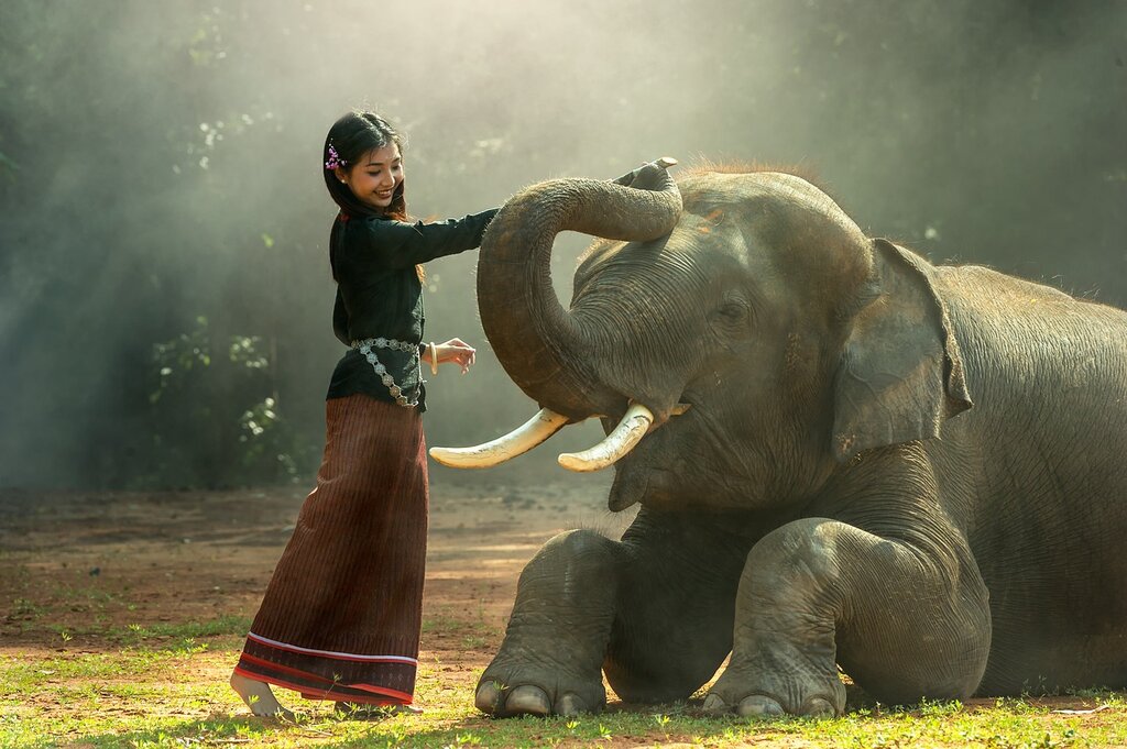 ASIA