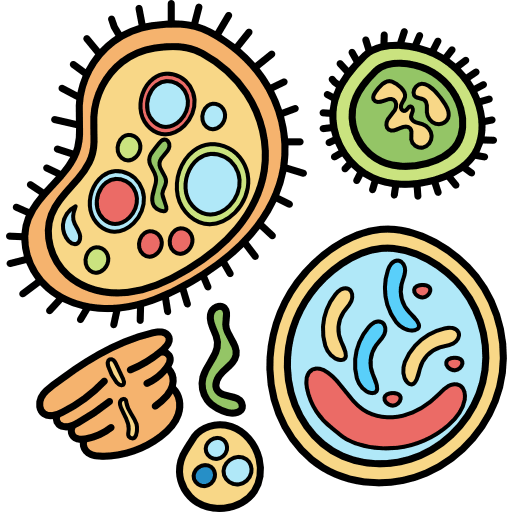 ¿Qué estudia principalmente la Biología?