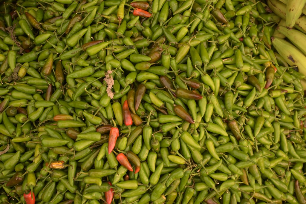 Look at the picture: a small, red or green, spicy vegetable that makes food hot and spicy. What is it?
