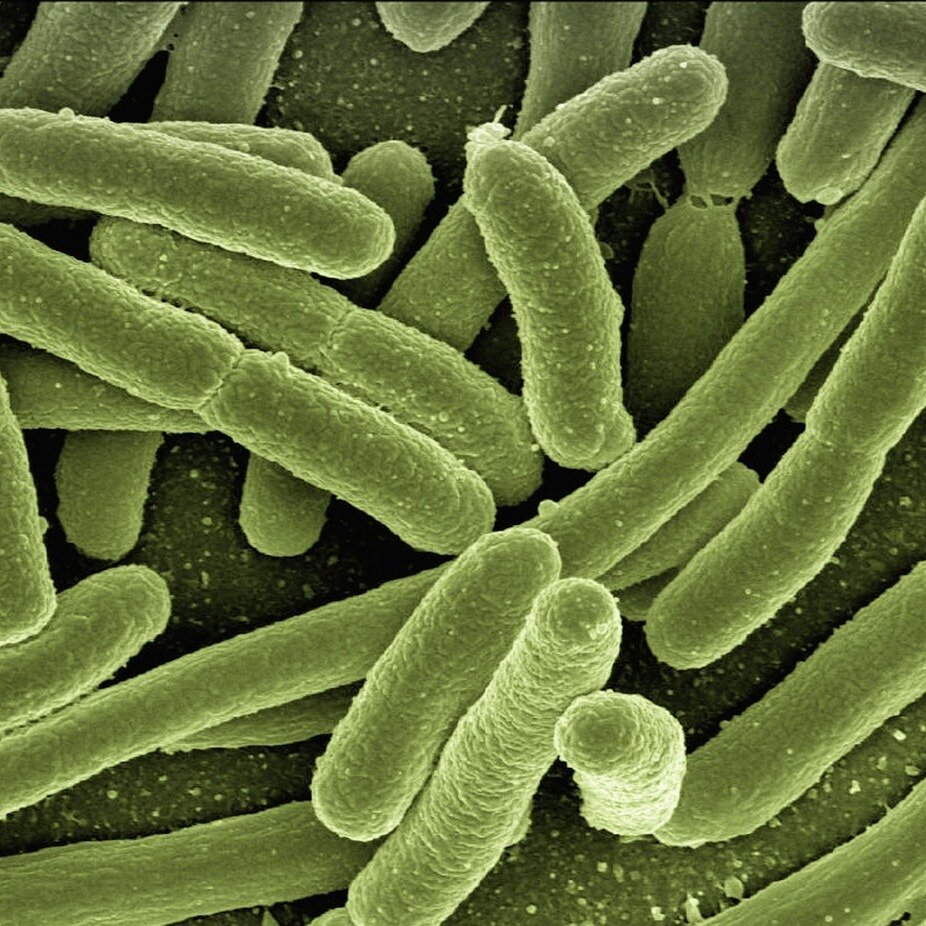 De acuerdo con la normativa bromatológica de agua potable envasada, ¿cuál debe ser el límite microbiológico permitido para bacterias coliformes totales en una muestra representativa?