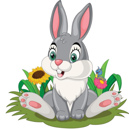 El conejo