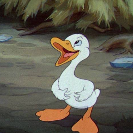 El pato