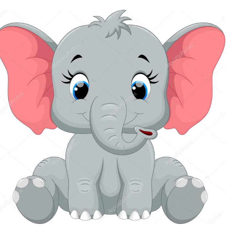 Un elefante