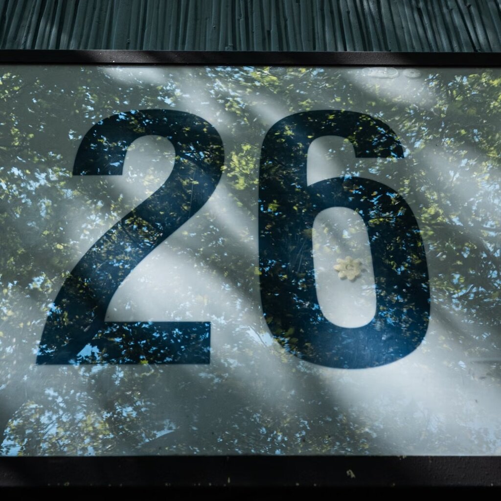 26