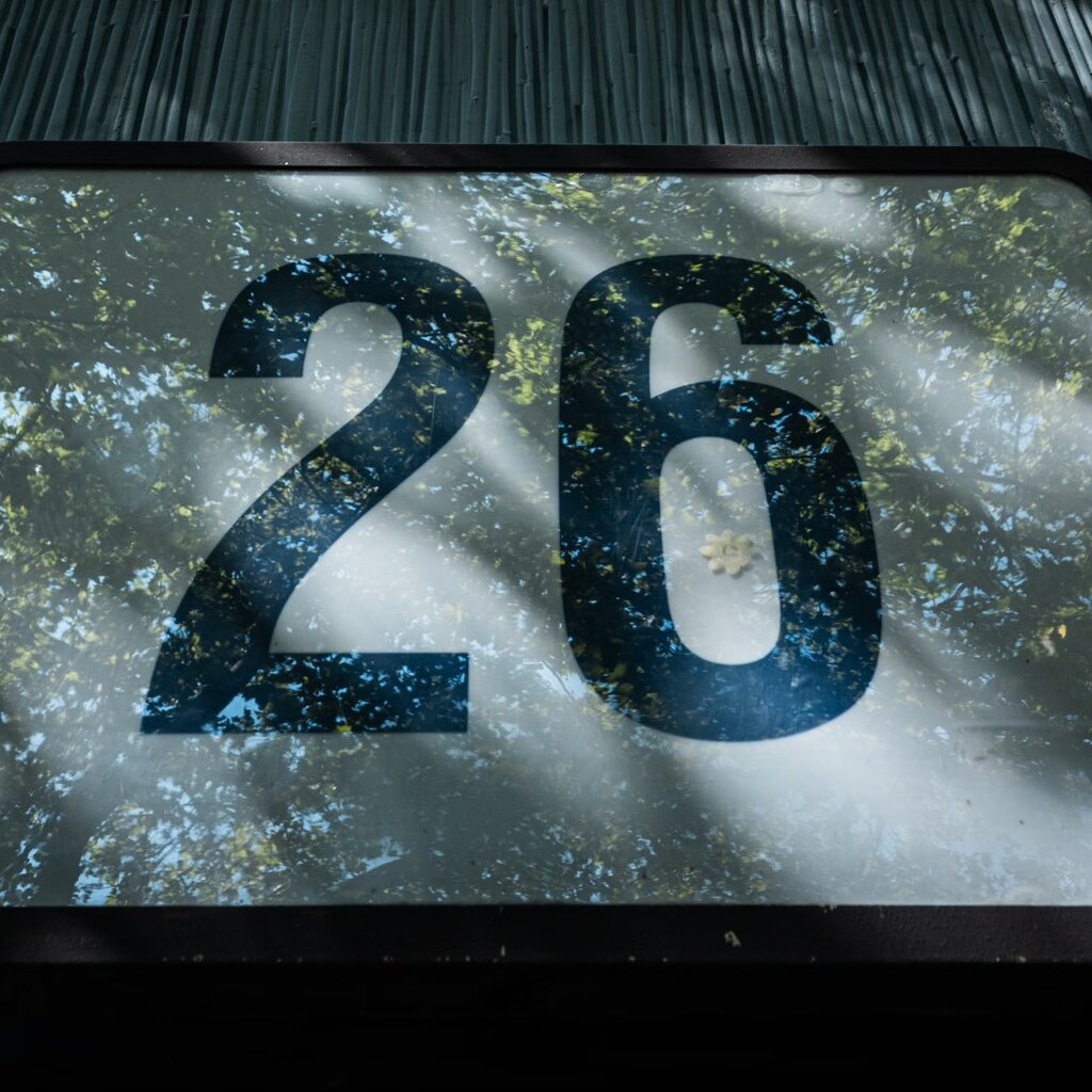 26