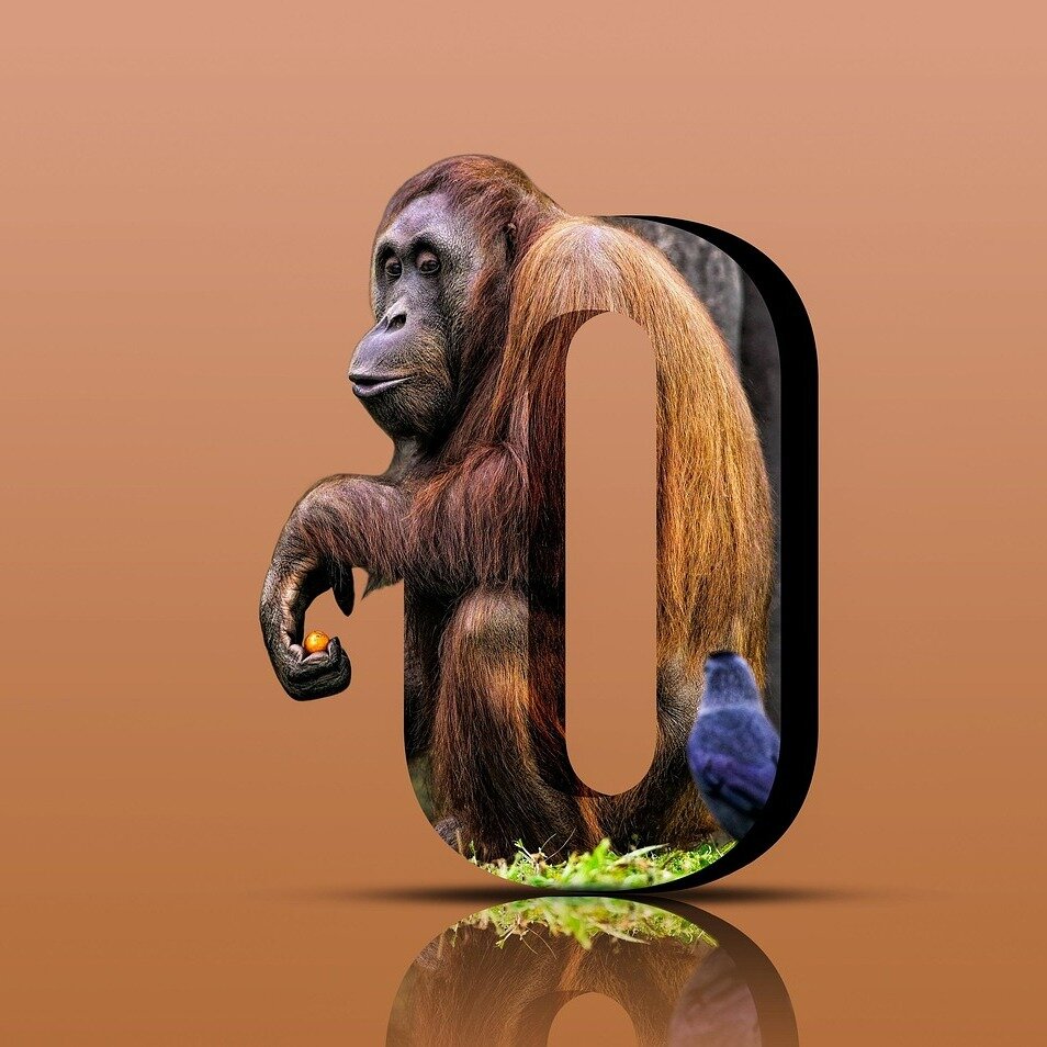 u,o