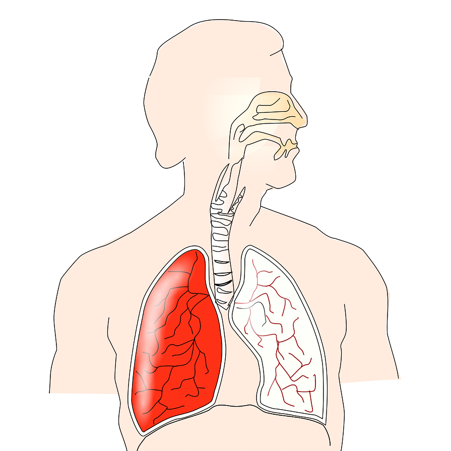 ¿Cuando respiras inhalas?