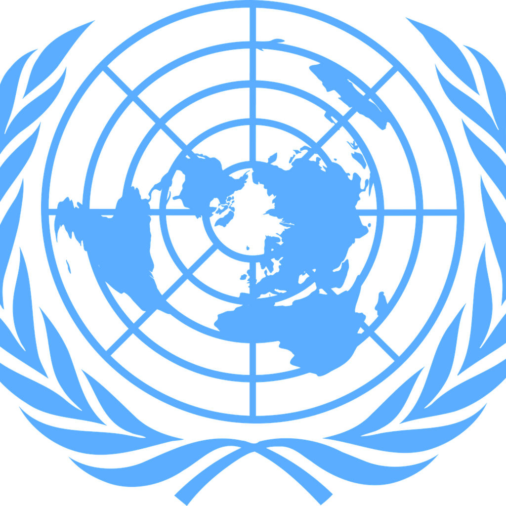 La Convención sobre los Derechos de las Personas con Discapacidad de la ONU, establecida en 1971