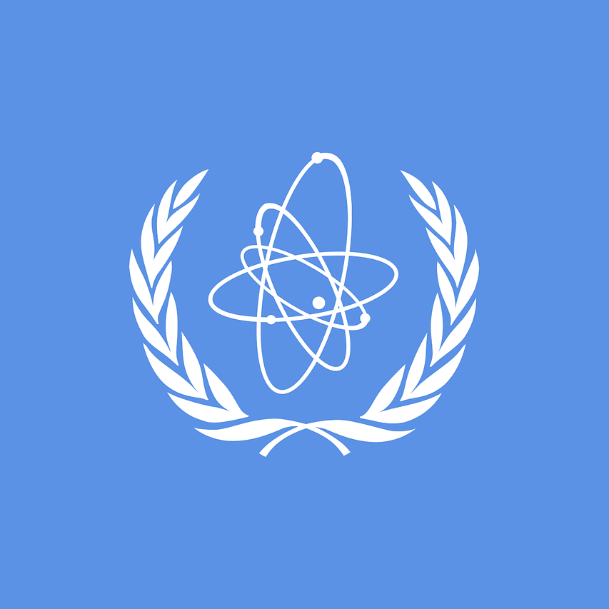 La Convención sobre los Derechos de las Personas con Discapacidad de la ONU, establecida en 2008