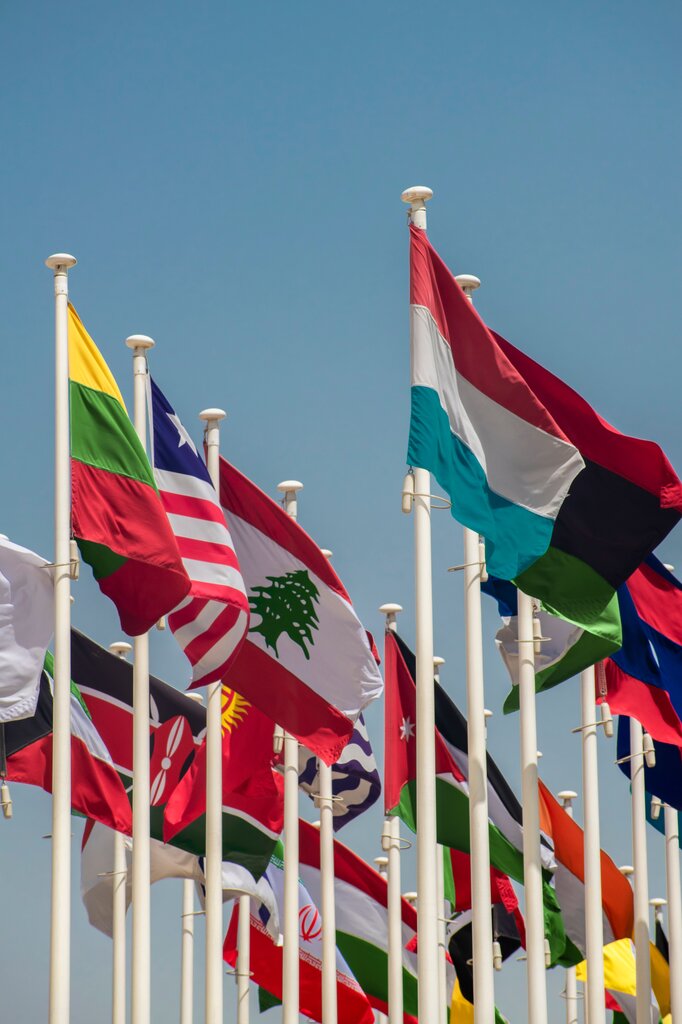 La Convención sobre los Derechos de las Personas con Discapacidad de la ONU, establecida en 1992